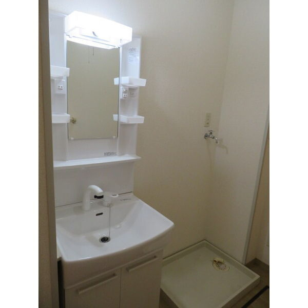 メゾン・ダリアＡの洗面所