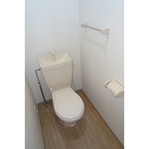 メゾン・ダリアＡのトイレ