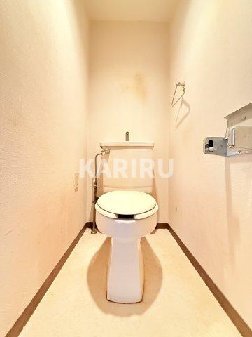 フェルティー・シャトー緑橋のトイレ