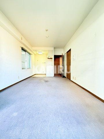 フェルティー・シャトー緑橋の居間・リビング