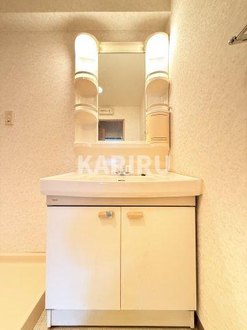 フェルティー・シャトー緑橋の洗面所