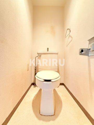 フェルティー・シャトー緑橋のトイレ