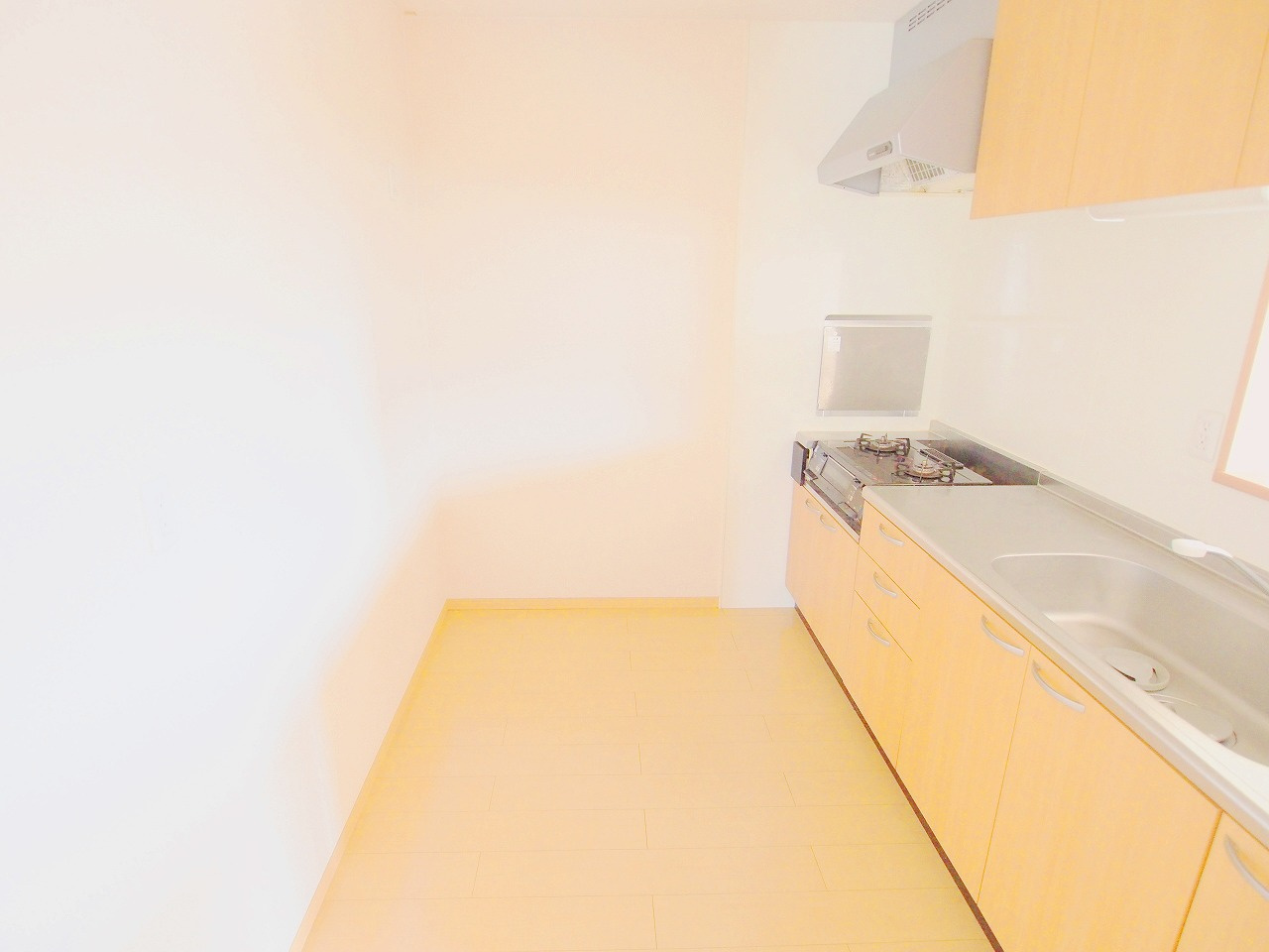 プランドールのキッチン