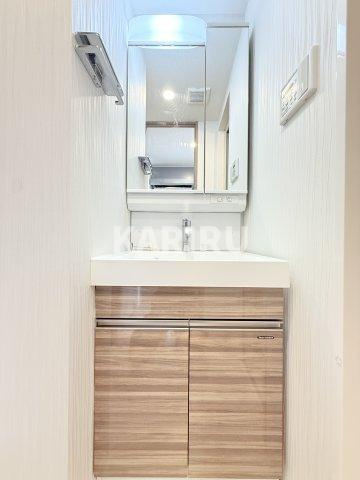 プリムール新深江の洗面所