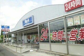 アパートメント　ノイの周辺|ビッグ・エー越谷東大沢店まで1100m