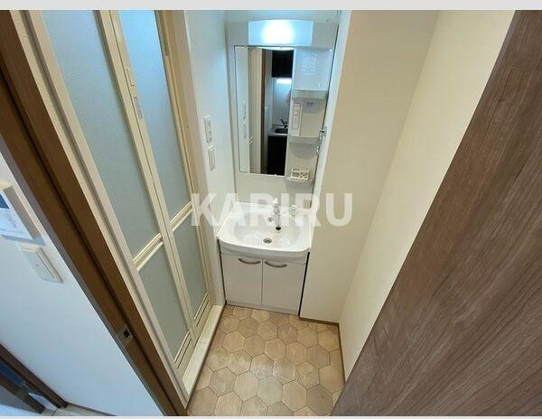 グランパシフィック巽中の洗面所