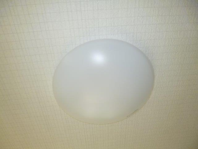 エムズガーデンBの設備|照明