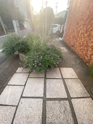 【庭】 | 白樺コーポ