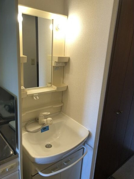 シャルマン上ノ宮の洗面所