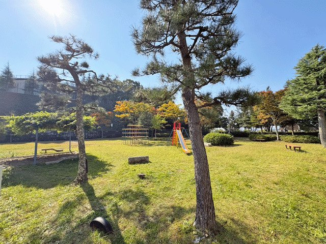 向陽台サニーハイツのその他