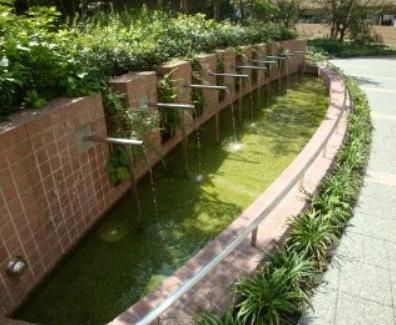 【庭】 | エスティメゾン豊洲レジデンスD棟