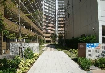 【エントランス】 | エスティメゾン豊洲レジデンスD棟