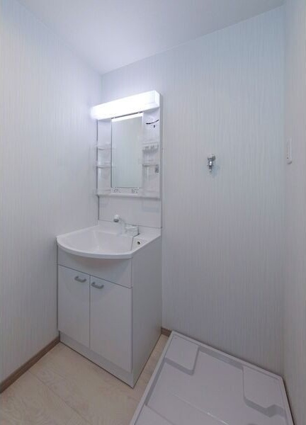 DEVELD栄生　WESTの洗面所