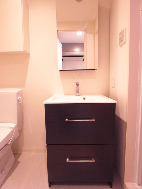 リブリ・東上野の洗面所