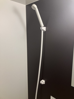 【内装】 | パレ・ドール五反野 | シャワー