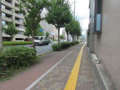 カーサグラン御池の周辺|前面道路