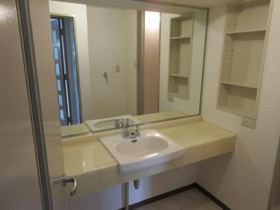 カーサグラン御池の独立洗面台