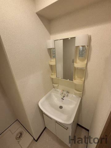 ローレル関大前の洗面所