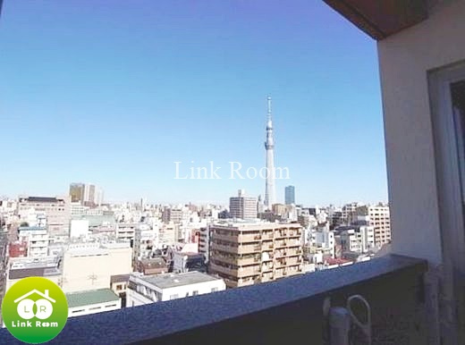 クオリア両国の展望