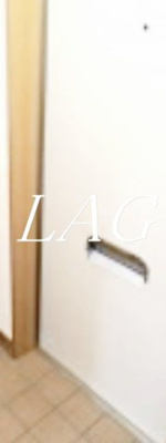 【玄関】 | ファミーユカネコⅡ | 玄関です。