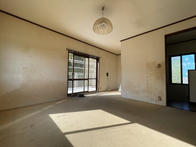 山武市埴谷1921売り戸建の洋室