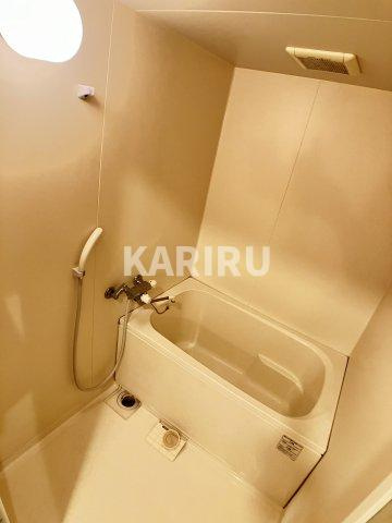 プルミエール関目 の浴室