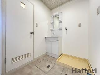 メゾンDoiの洗面所