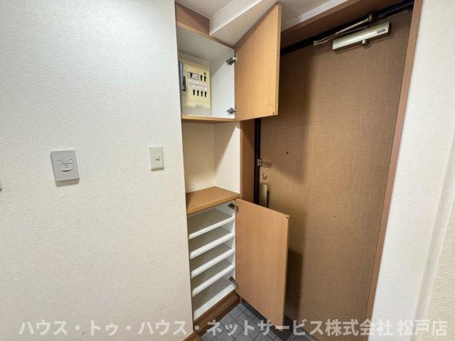 フォルティス・メアのその他