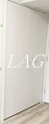 【収納】 | エステムコート立川ノースプレミア | 収納です。