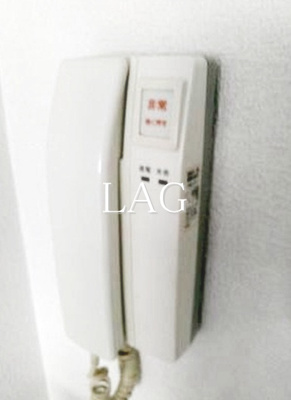 【セキュリティ】 | ソシアーレミラン武蔵浦和パートⅡ | インターホンになります。