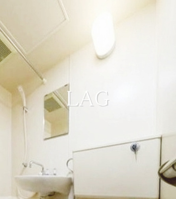 【洗面所】 | ソシアーレミラン武蔵浦和パートⅡ | 洗面台です。