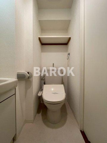 ダイナコートエスタディオサラA棟のトイレ