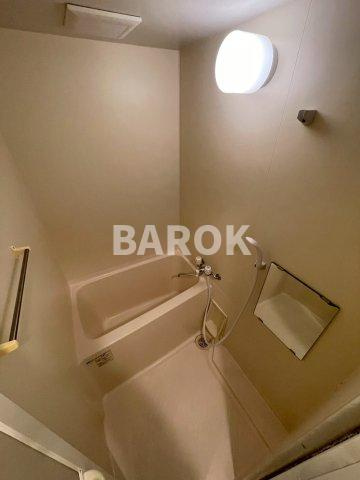 ダイナコートエスタディオサラA棟の浴室