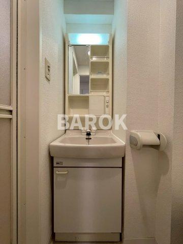 ダイナコートエスタディオサラA棟の洗面所