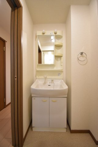 ファイン・ヴィラの洗面所