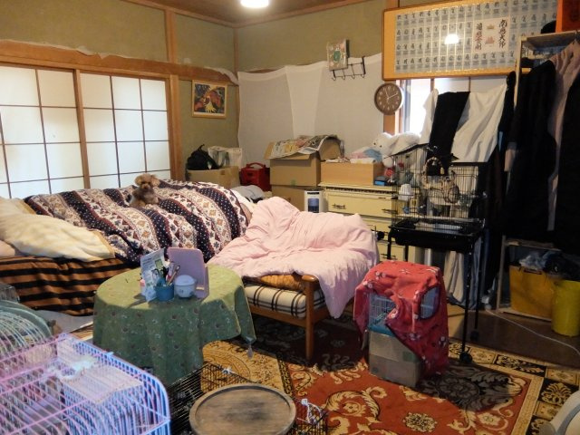 伊豆エメラルドタウン(函南町)の和室