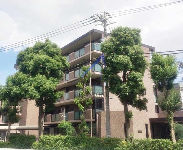 サンピエス江古田の外観|外観です。