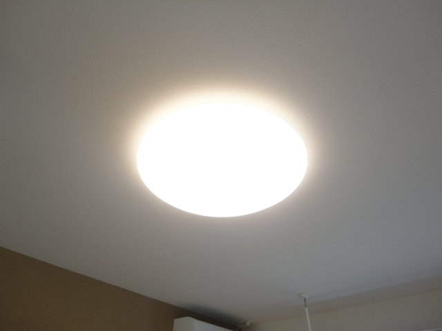 サン　フォレスタのその他|照明器具