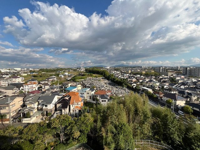 泉北星和台コーポラスの展望