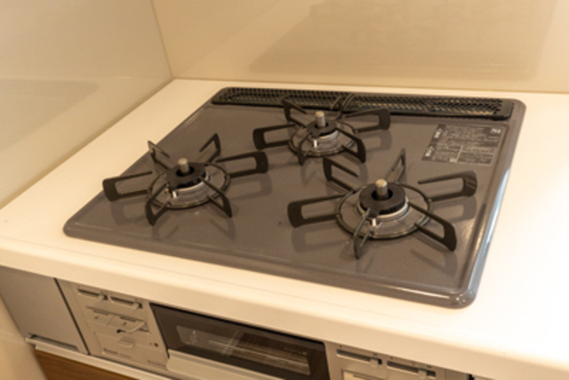 クリオラベルヴィ元浅草のその他|※写真は同タイプ住戸です。