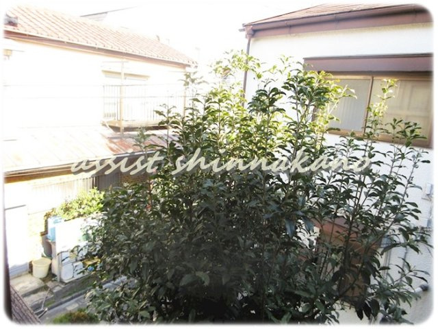 山田ハウスの展望