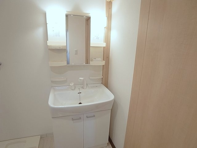 ヴィアーレ南町の洗面所|独立洗面のシャンプードレッサー