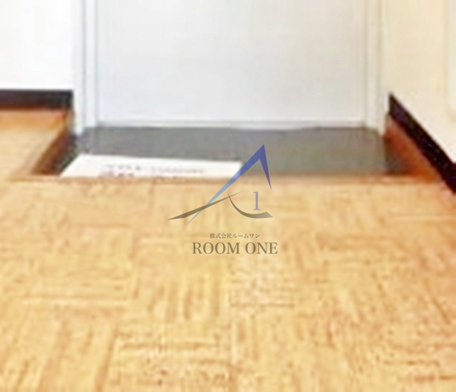 リバーサイド向陽の玄関|玄関です。