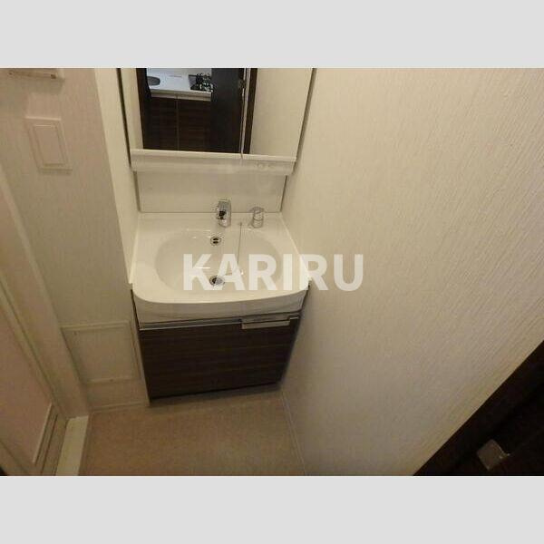 スワンズシティ大阪城コスタの洗面所