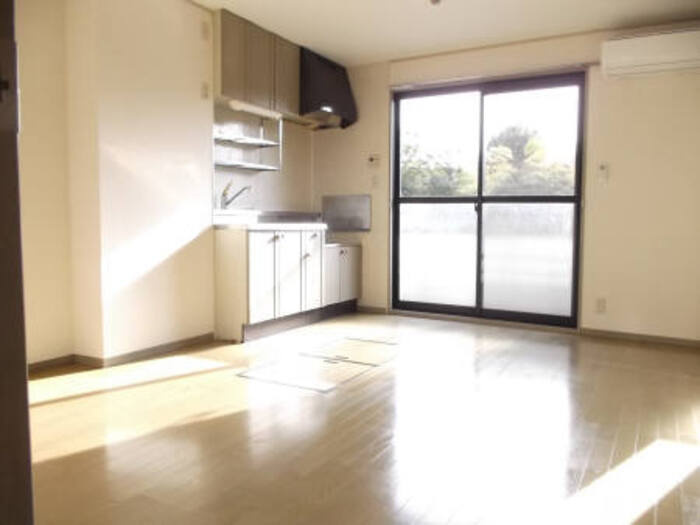 ストークヴィラAの居間・リビング