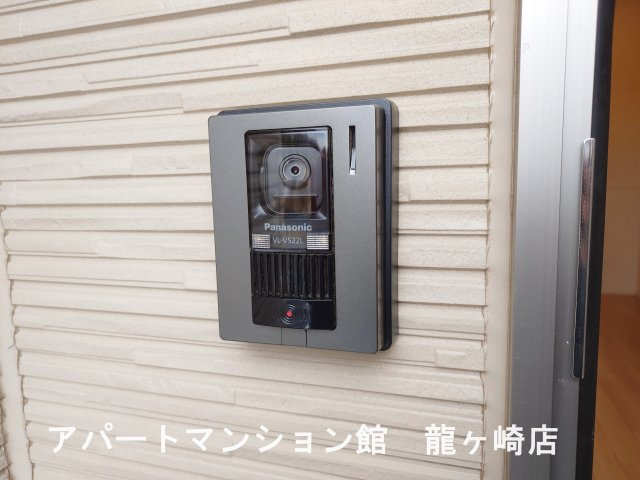 ブルーベリーのセキュリティ