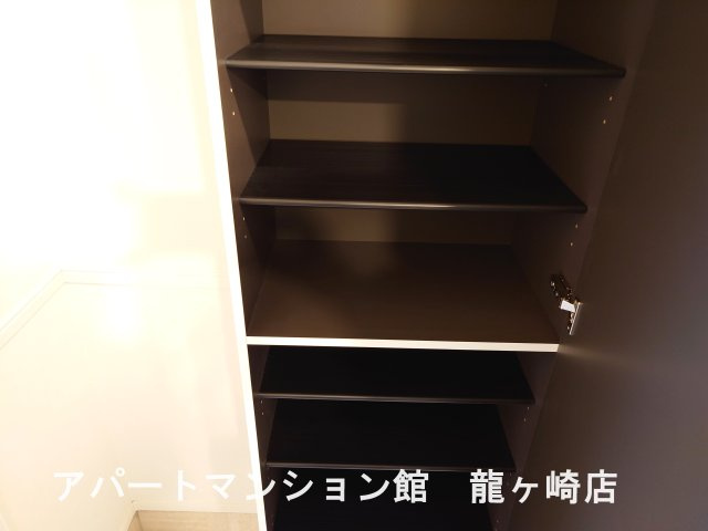 ブルーベリーの収納