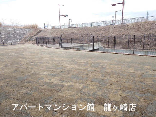 ブルーベリーの展望