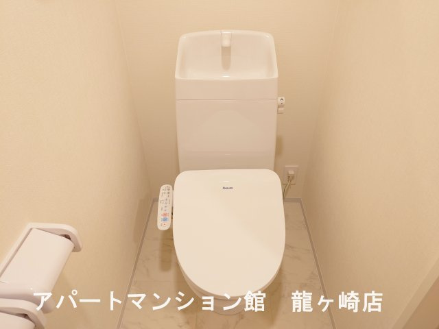 ブルーベリーのトイレ