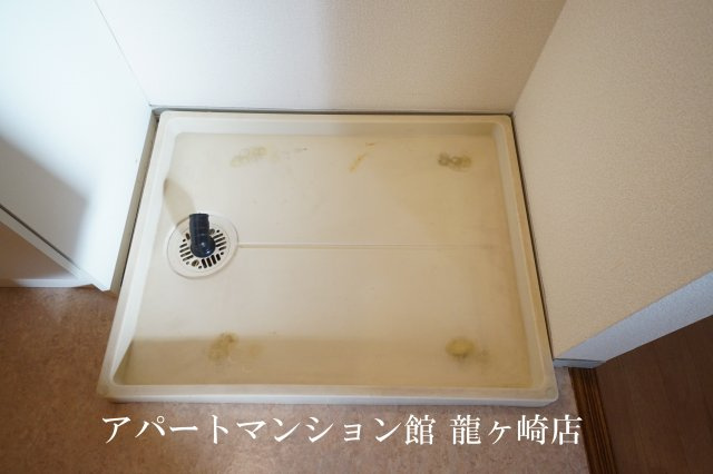 はなみずきのその他